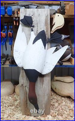 Full Size Wall Hanging Dead Mount Carving of Canvasback Drake Duck/Decoy