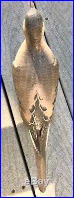 George Strunk Morning Dove Deccoy Legendary Carver New Jersey shorebird