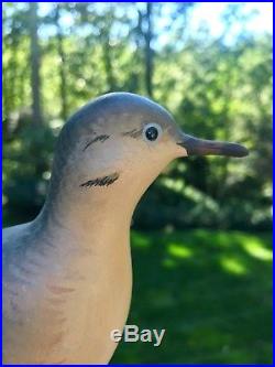 George Strunk Morning Dove Deccoy Legendary Carver New Jersey shorebird