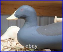 Gilmore Butch Wagoner Working Coot Decoy