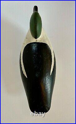 Goldeneye Duck Wood Decoy, Painted Eyes, Shot Over, Unsigned, Gloss Paint Finish