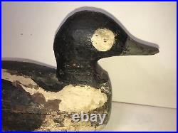 Goldeneye drake duck decoy antique