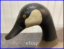 Good Vintage Maryland Canada Goose Decoy, Carved & Painted 24 long