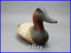 Gorgeous Canvas Back wood Decoy by Shirley Hearne 1994 18 inches