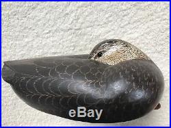 Grayson Chesser Hand Carved Mallard Duck Decoy Hen Chincoteague Rare Sleep Pose