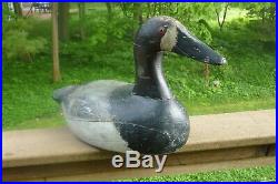 Gust Nelow Canvasback Hen duck decoycirca 1930 in best high head style
