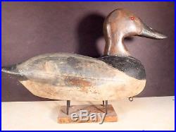Gust Nelow, Omoro, Wisconsin Canvasback drake circal 1920 in original paint