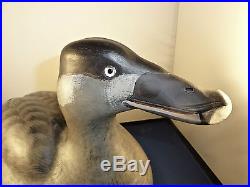 HAND CARVED DUCK DECOY, KEITH MUELLER CARVER, S. MERIDIAN, CONN