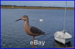 H. V Shourds Hand Carved Willet Or Yellowlegs Shore Bird. Signed