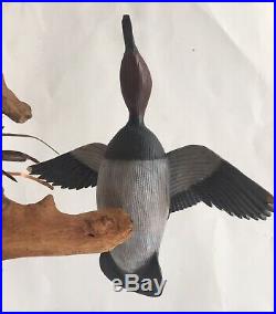 Hand Carved Painted Canvasback Drake Flying Wood Duck Decoy Leon J. Boninu