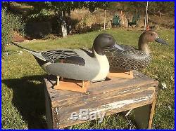 Hector Heck Whittington Pintail Decoy Pair signed stamped Oglesby Illinois River