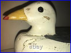 Herring gull shorebird duck decoy toothaker island maine