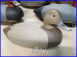 Herters decoys redhead size 63 3 drakes and 3 hens