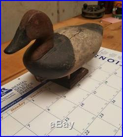 Holly Family Canvasback Drake Decoy Turn of the Century Early 1900s Very Rare