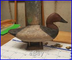 Holly Family Canvasback Drake Decoy Turn of the Century Early 1900s Very Rare
