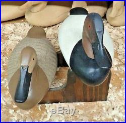 Howard Duck Foreaker (1933-2006) of North East, Maryland Canvasback Decoy's