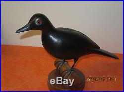 Illinois River Virgil Hodge Williamsfield Illinois Great Carved Crow Decoy