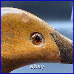 Jack Brackney Black Duck Decoy Signed 1979 Glass Eyes Beauty