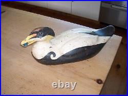 John Paxson Folky Eider with Muscle in Mouth