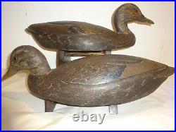 Ken Anger Blackduck Duck Decoy Pair All Original Early 1930-35 Ontario