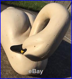 LIFE-SIZE PAINTED SWAN DECOY In Preening Pose Signed Revello