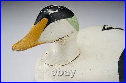 Large Antique Hand Carved Nova Scotia Eider Drake Duck Decoy 20