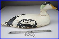 Large Antique Hand Carved Nova Scotia Eider Drake Duck Decoy 20