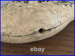 Large Antique Wood Long-Billed Curlew Shorebird Decoy Turned Head 23 L Rare