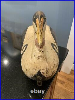 Large Signed John Paxson (Back Bay, Virginia) Eider Duck Decoy 21 Long