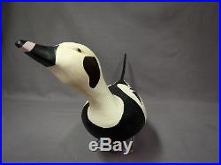 Large Spectacular Old Squaw Duck Decoy Branded CEH, NJ, Original Paint