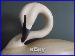 Large White Swan Decoy Preening Whistling Kevin Kerrigan $800+ Signed