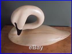Large White Swan Decoy Preening Whistling Kevin Kerrigan $800+ Signed
