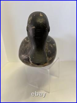Late 19th Or Early 20th Century Tack Eye Duck Decoy