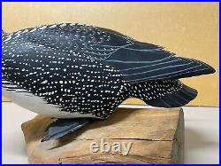 Loon Duck Decoy by Harry Ross, Detailed Carved Wing Relief, Glass Eyes, Signed