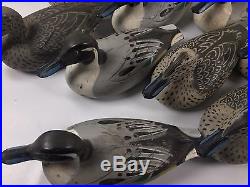 Lot of 11 Vintage Victor Pintail Duck Decoys D-9 Hunting Decoy Woodsteam