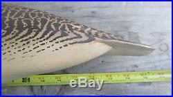 Lou Reineri (attributed)large Shorebird. Carved wooden bird. Decoy. 19 long