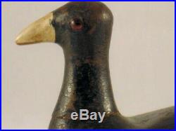 Louisiana Coot Duck Decoy Emile Hebert Antique Root Head Wooden Goose Shorebird