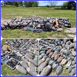 MASSIVE Water Hunting Decoy Goose & Duck Collection Various Brands Sizes