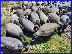 MASSIVE Water Hunting Decoy Goose & Duck Collection Various Brands Sizes