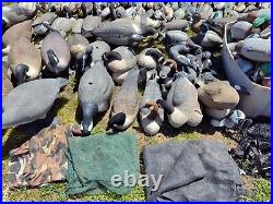 MASSIVE Water Hunting Decoy Goose & Duck Collection Various Brands Sizes