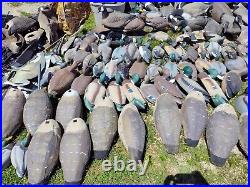 MASSIVE Water Hunting Decoy Goose & Duck Collection Various Brands Sizes