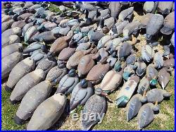 MASSIVE Water Hunting Decoy Goose & Duck Collection Various Brands Sizes