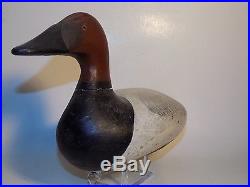 MCGAW Upper Bay Branded Canvasback Duck Decoy