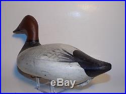 MCGAW Upper Bay Branded Canvasback Duck Decoy