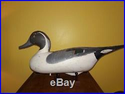 MINT Christmas Drake Sprig by R. Madison Mitchell HdG, MD Pintail decoy c1950