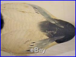Madison Mitchell Canvasback Duck Decoy Maryland Original Wooden Goose Shorebird