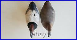 Madison Mitchell Decoy Premium pair Shorebird Duck Goose 50%OFF SALE