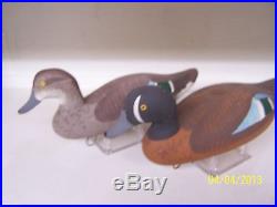 Madison Mitchell signed Blue Wing Teal