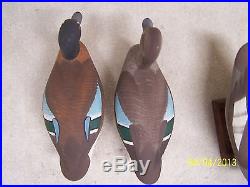Madison Mitchell signed Blue Wing Teal