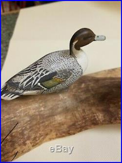 Magnificent Pintail Miniature Duck Decoys Elmer Crowell